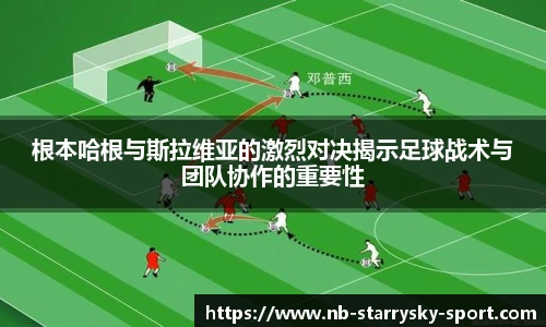 星空体育官网入口