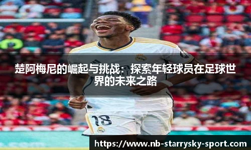 星空体育官网下载